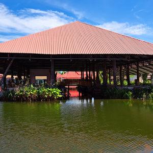 รูปภาพที่ 4