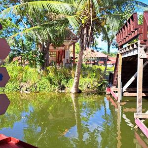 รูปภาพที่ 2