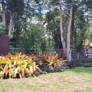 รูปภาพที่ 4