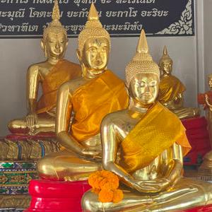 รูปภาพที่ 4