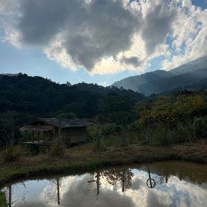 รูปภาพที่ 2