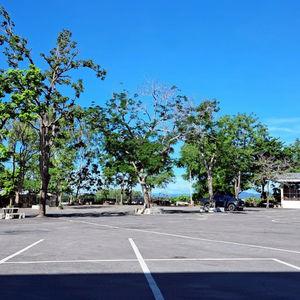 รูปภาพที่ 8