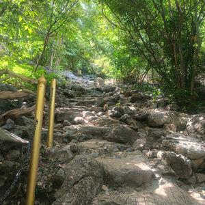 รูปภาพที่ 3