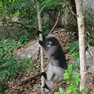 รูปภาพที่ 1