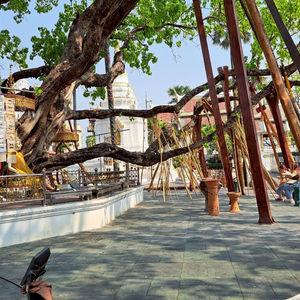 รูปภาพที่ 4