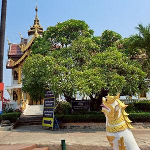 รูปภาพที่ 1