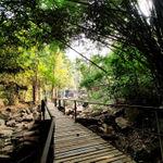 รูปภาพที่ 3