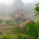 รูปภาพที่ 2