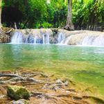 รูปภาพที่ 4