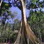 รูปภาพที่ 8