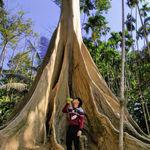 รูปภาพที่ 7