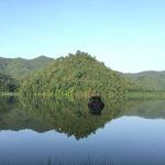 รูปภาพที่ 2