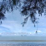 รูปภาพที่ 1
