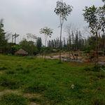 รูปภาพที่ 2