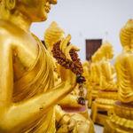 รูปภาพที่ 5