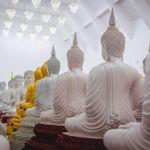 รูปภาพที่ 2