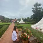 รูปภาพที่ 8
