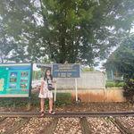 รูปภาพที่ 3