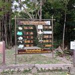 รูปภาพที่ 5