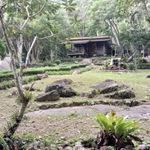 รูปภาพที่ 4