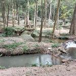 รูปภาพที่ 3