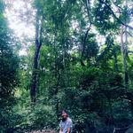 รูปภาพที่ 1