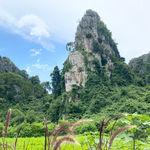 รูปภาพที่ 2