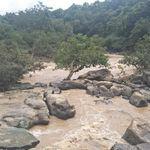 รูปภาพที่ 5