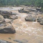รูปภาพที่ 3