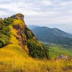 รูปภาพที่ 2