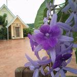 รูปภาพที่ 1