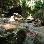 รูปภาพที่ 4