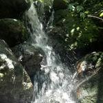 รูปภาพที่ 2