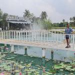 รูปภาพที่ 5