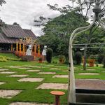 รูปภาพที่ 1