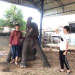 รูปภาพที่ 7