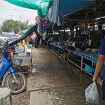 รูปภาพที่ 1