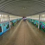 รูปภาพที่ 4