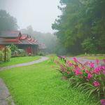 รูปภาพที่ 9