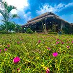 รูปภาพที่ 4