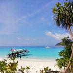รูปภาพที่ 4