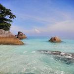 รูปภาพที่ 2