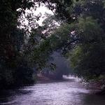 รูปภาพที่ 6