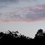 รูปภาพที่ 4