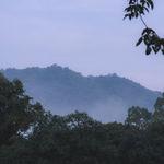 รูปภาพที่ 2