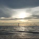 รูปภาพที่ 1