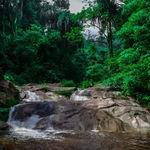 รูปภาพที่ 1