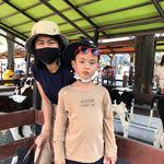 รูปภาพที่ 3