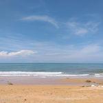 รูปภาพที่ 2