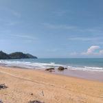 รูปภาพที่ 1